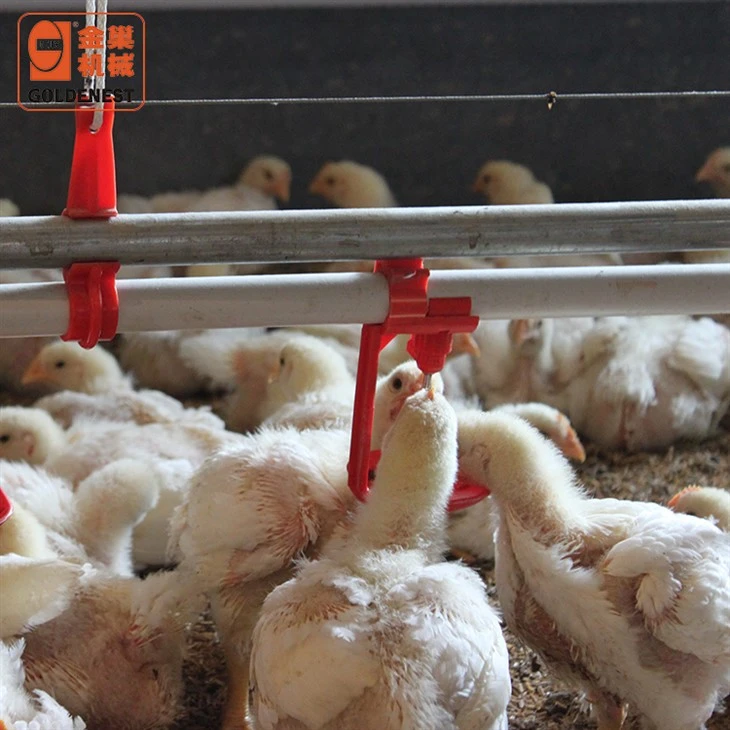 Full Automatic Poultry Nipple Drinking Water Line Anti-Leak Stainless Steel Water Supply System For Broiler Chicken Houses Full Automatic Poultry Nipple Drinking Water Line Anti-Leak Stainless Steel Water Supply System For Broiler Chicken Houses