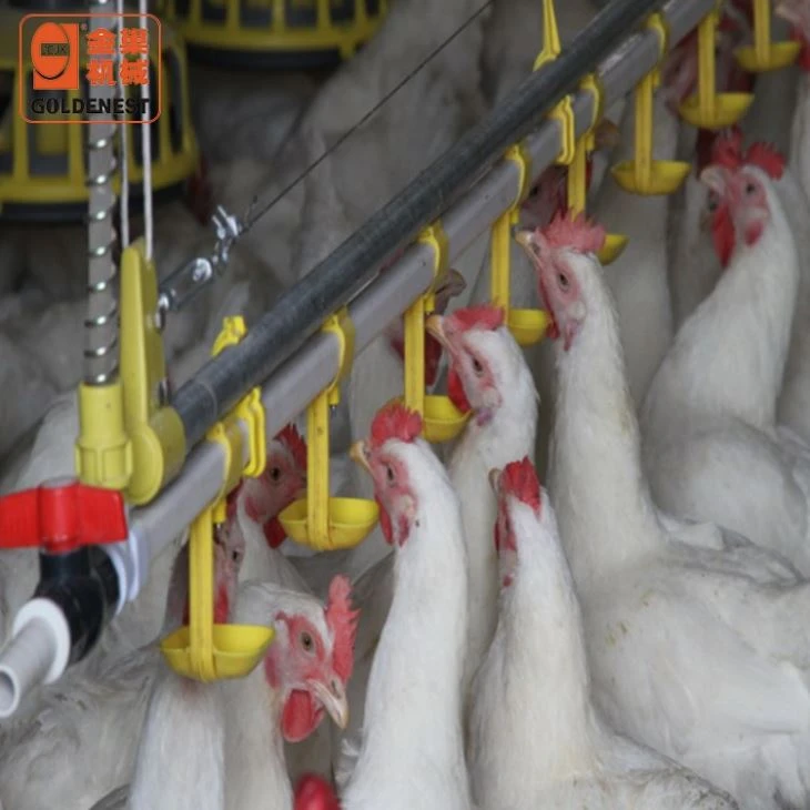 Full Automatic Poultry Nipple Drinking Water Line Anti-Leak Stainless Steel Water Supply System For Broiler Chicken Houses Full Automatic Poultry Nipple Drinking Water Line Anti-Leak Stainless Steel Water Supply System For Broiler Chicken Houses
